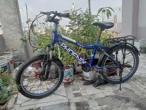 Phoenix Bicycle for Sale