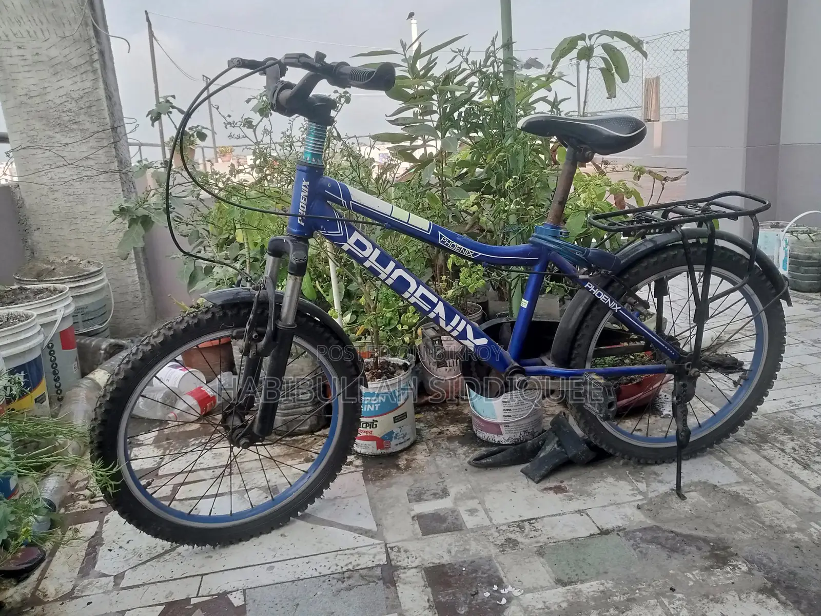 Phoenix Bicycle for Sale