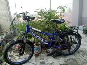 Phoenix Bicycle for Sale