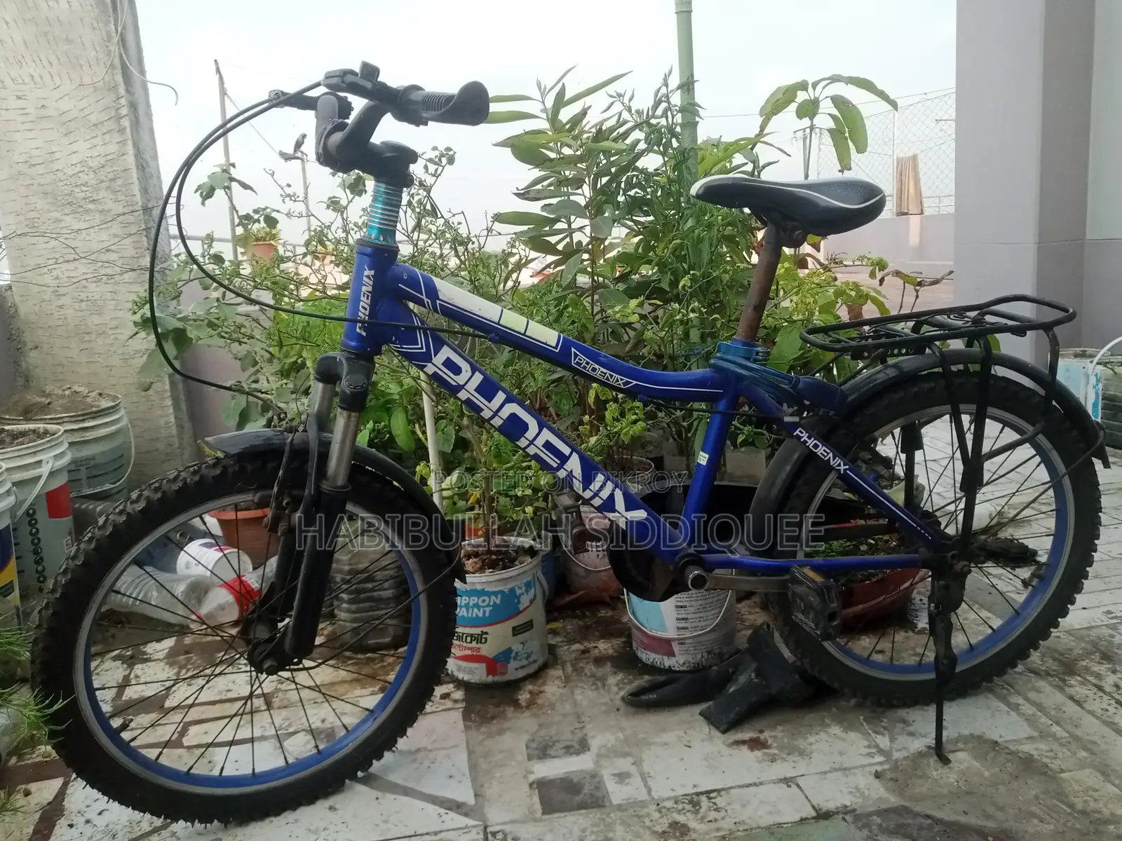 Phoenix Bicycle for Sale