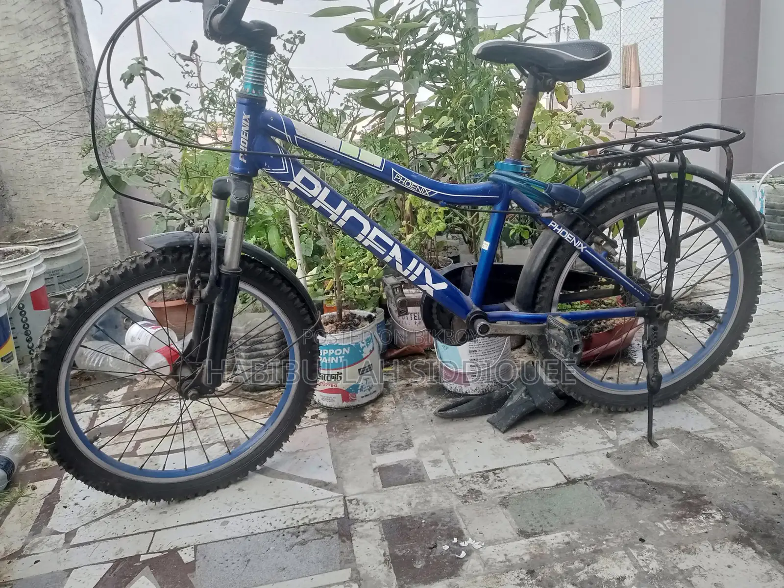 Phoenix Bicycle for Sale
