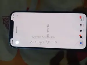 Apple iPhone 12 (Used)
