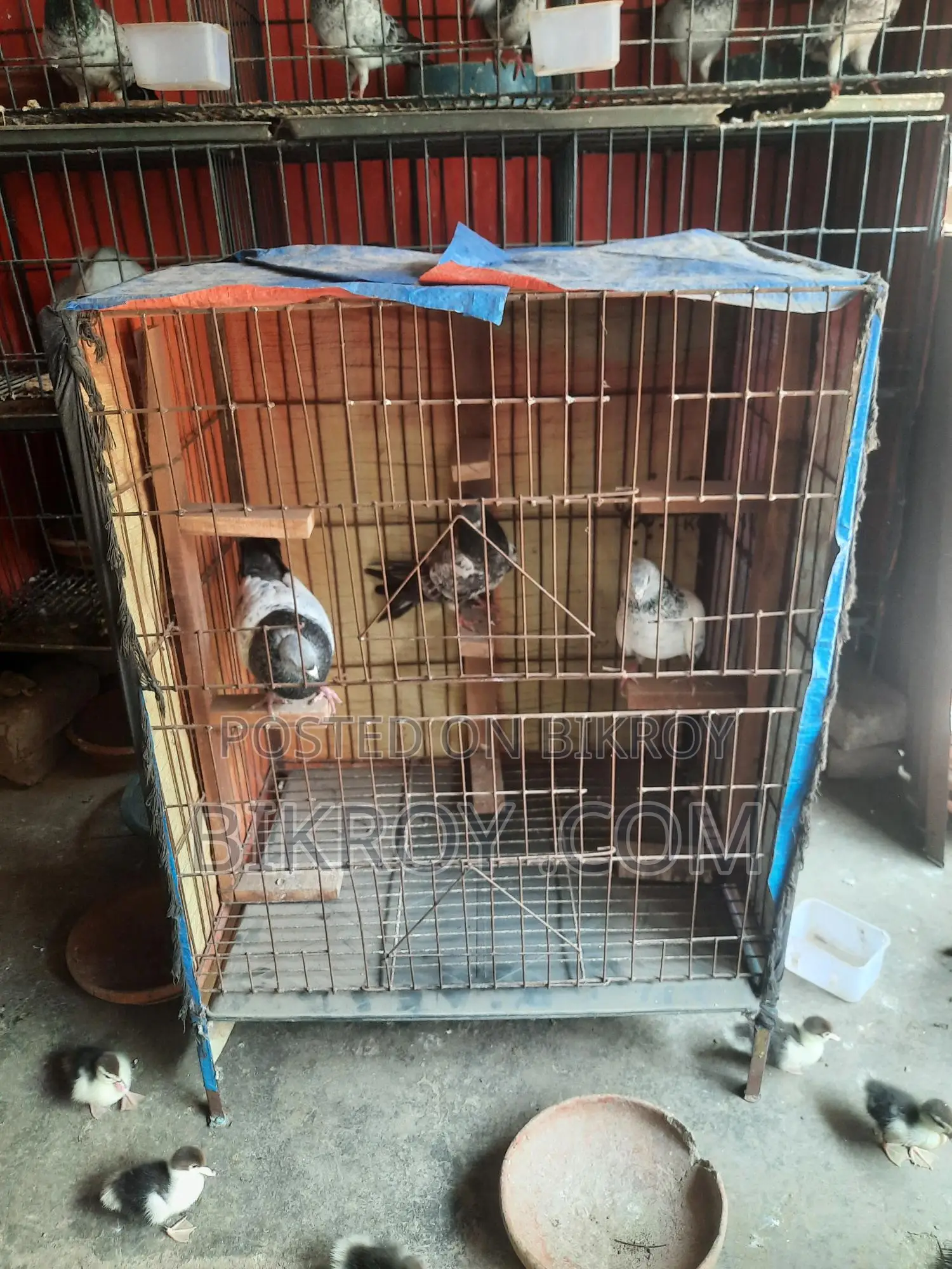 2ta Khaca