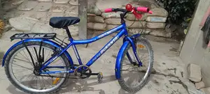 ২৪ ইঞ্চি সাইকেল