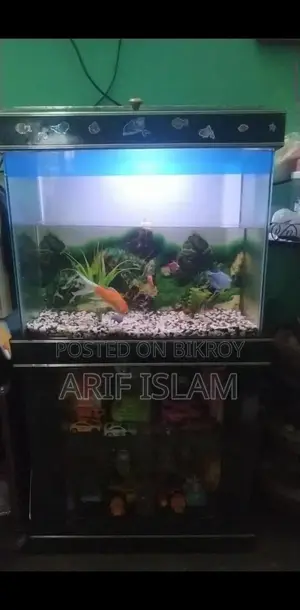 Fish Tank for Sale