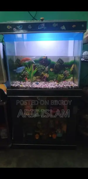 Fish Tank for Sale
