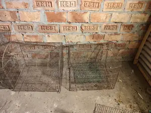 পাখির খাঁচাগুলো বিক্রি করা হবে খুবই ভালো।