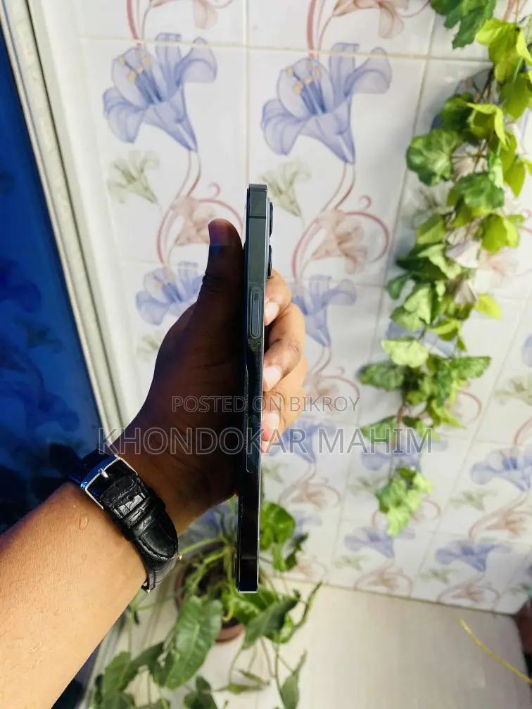 Apple iPhone 12 Pro Max 256gb (ব্যবহৃত)