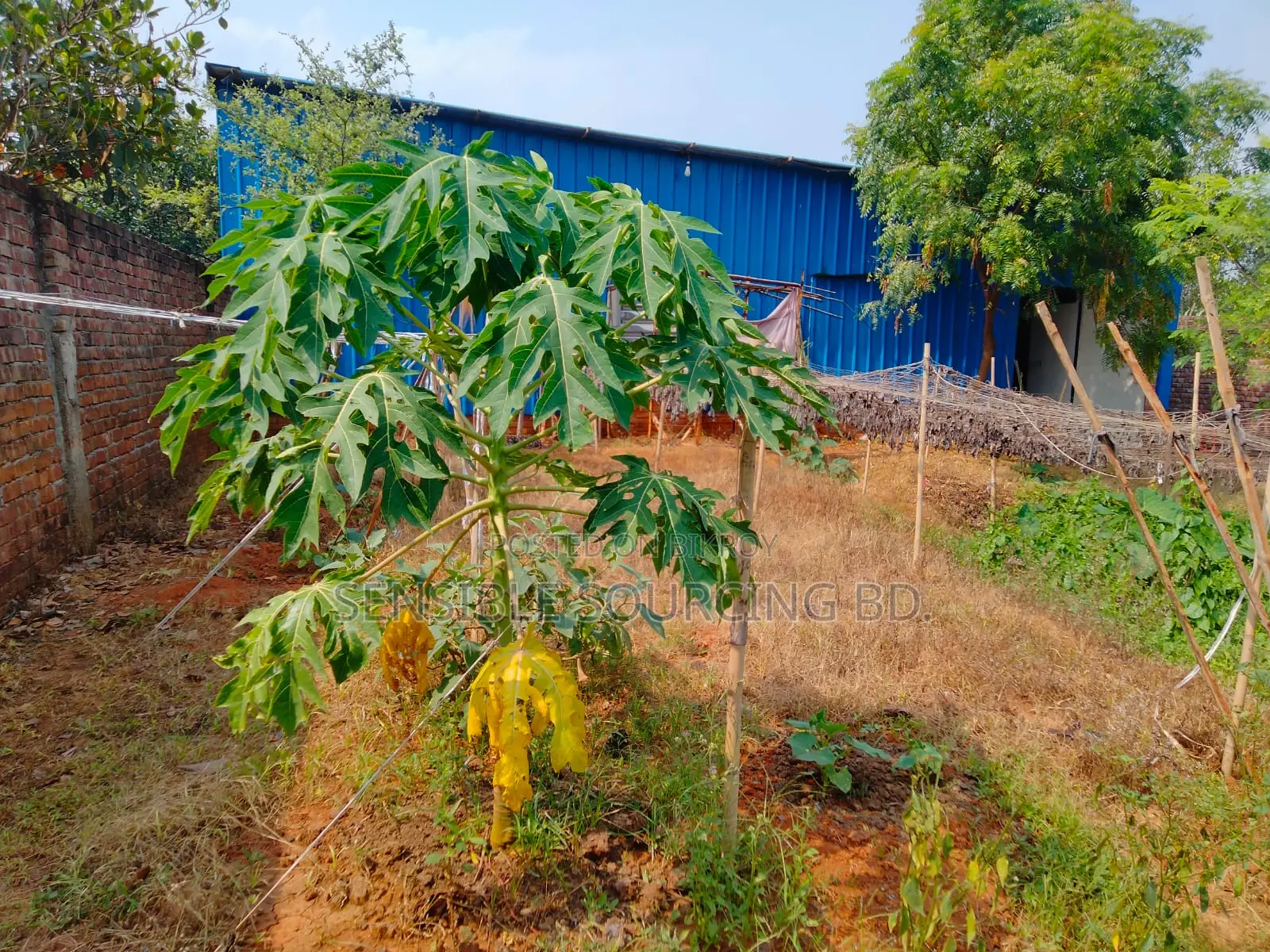 5,000 sq ft shed for rent with 49 kW electricity line