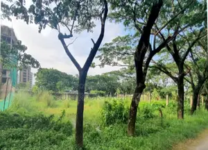 এম ব্লক ৪ কাঠা দক্ষিণমুখী প্লট বিক্রয়