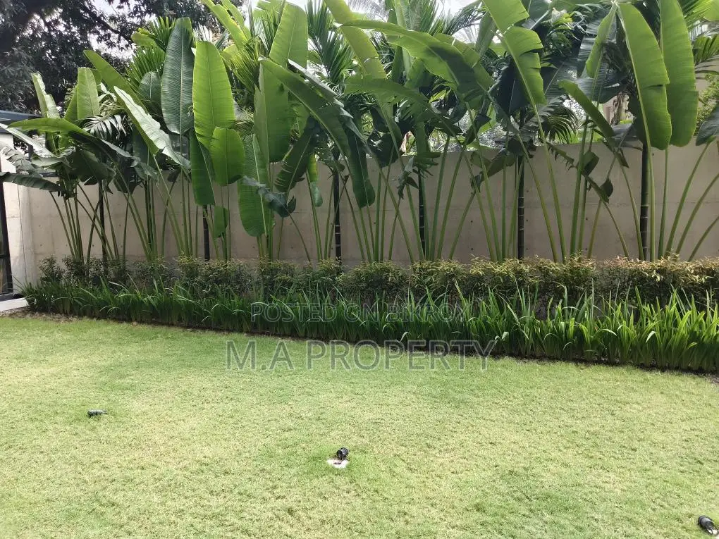 Rent Apartment 5250sqft 2-Carpark Gulshan North