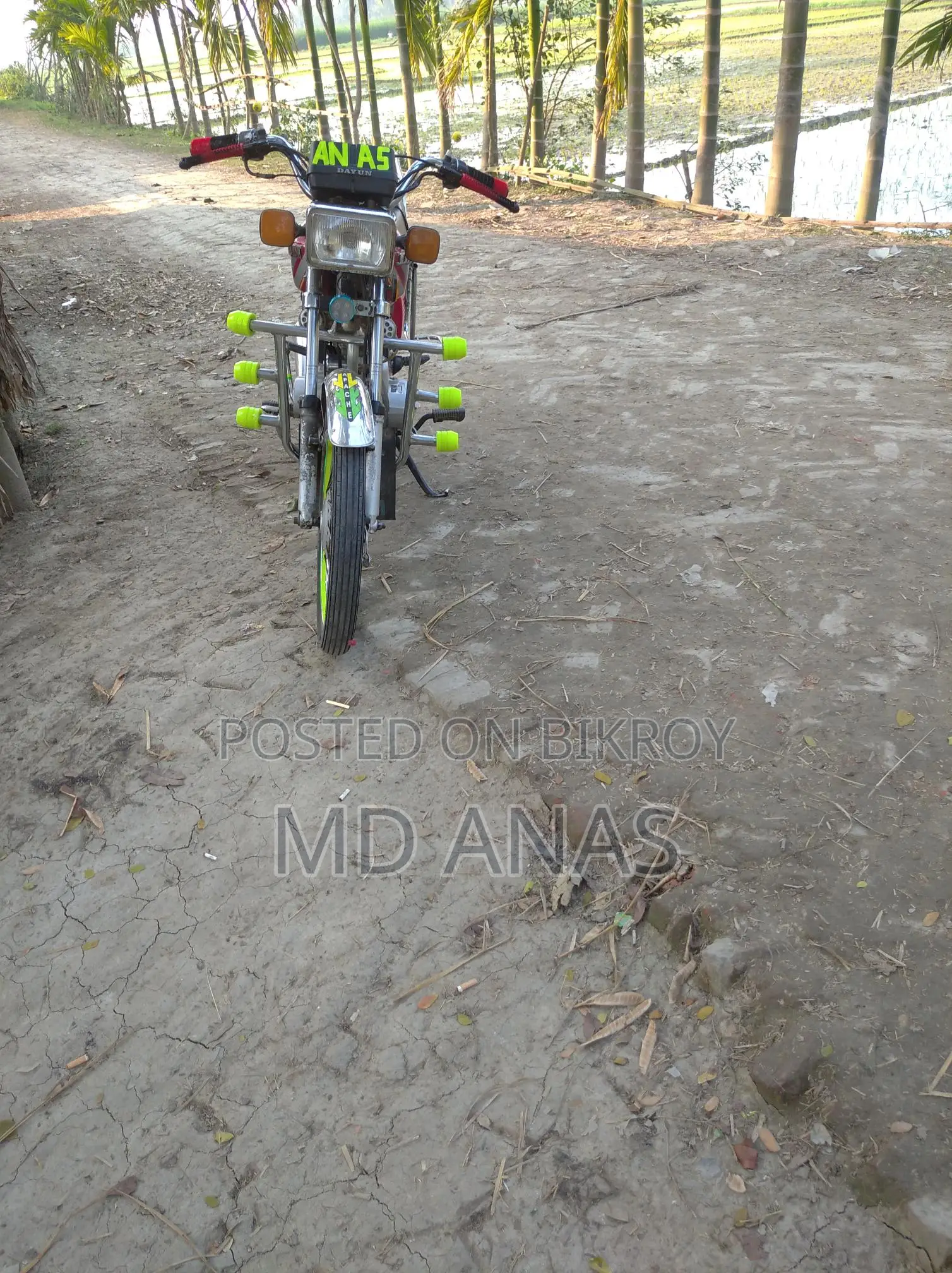 Dayang DY-100 bike 2017