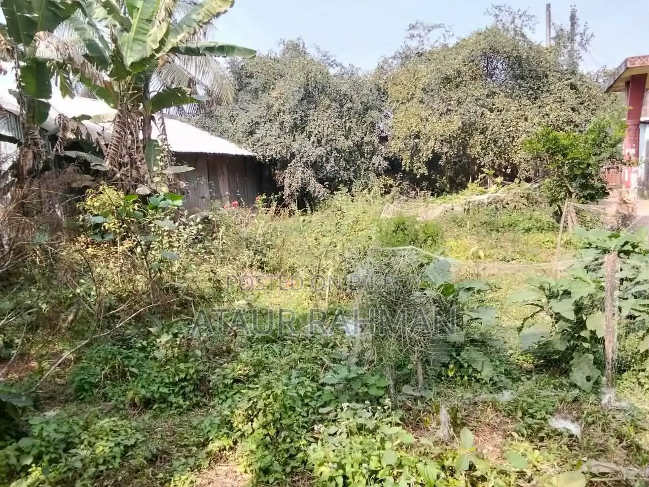 Shop and Land for Sale