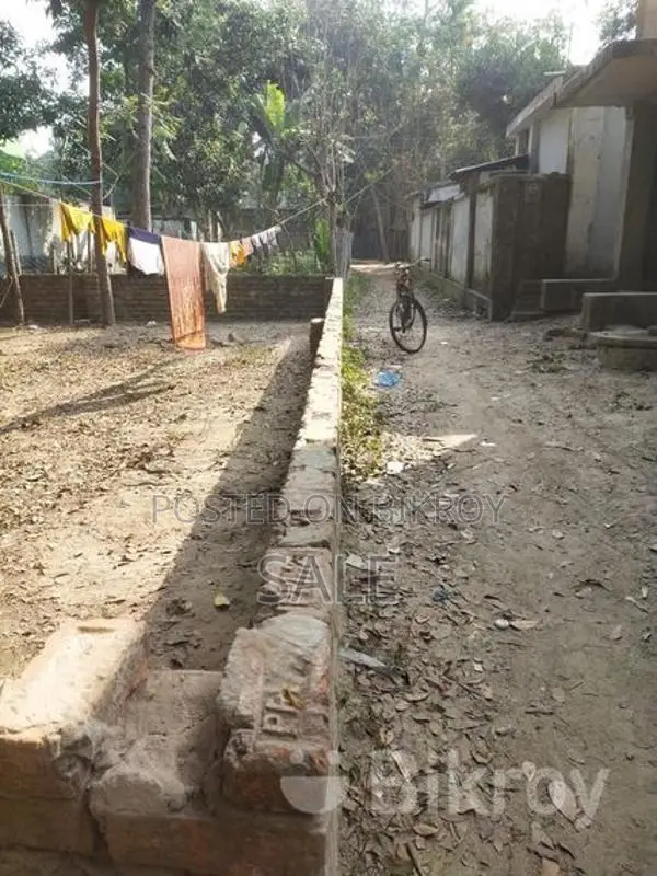 Buy Land Inside the Municipality Near Monihar, Jashore