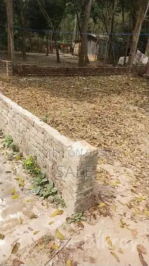Buy Land Inside the Municipality Near Monihar, Jashore