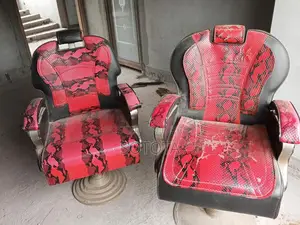 ২টি সেলুনের চেয়ার