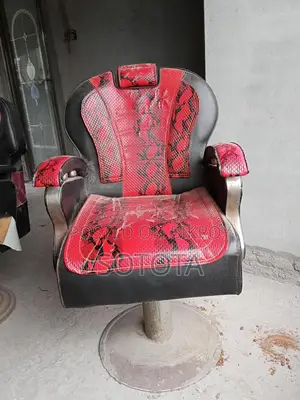 ২টি সেলুনের চেয়ার