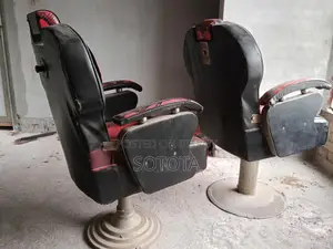 ২টি সেলুনের চেয়ার