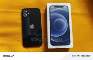 Apple iPhone 12 (Used)