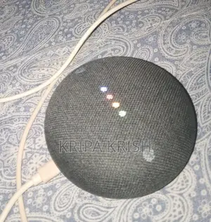 Google Nest Mini