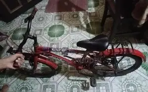 By Cycle