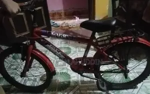 By Cycle