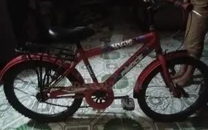 By Cycle
