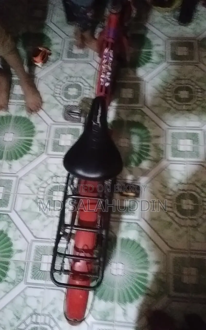 By Cycle