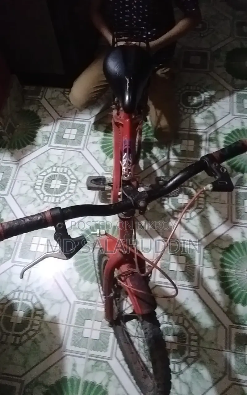 By Cycle
