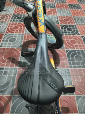 Bicycle for Sale