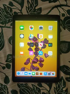 iPad Air 1st Gen