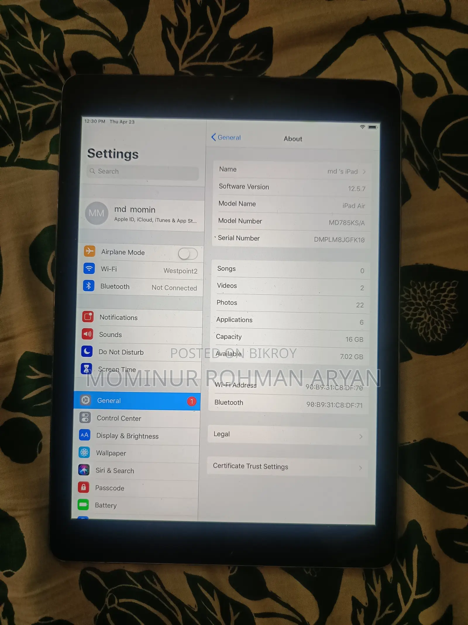 iPad Air 1st Gen