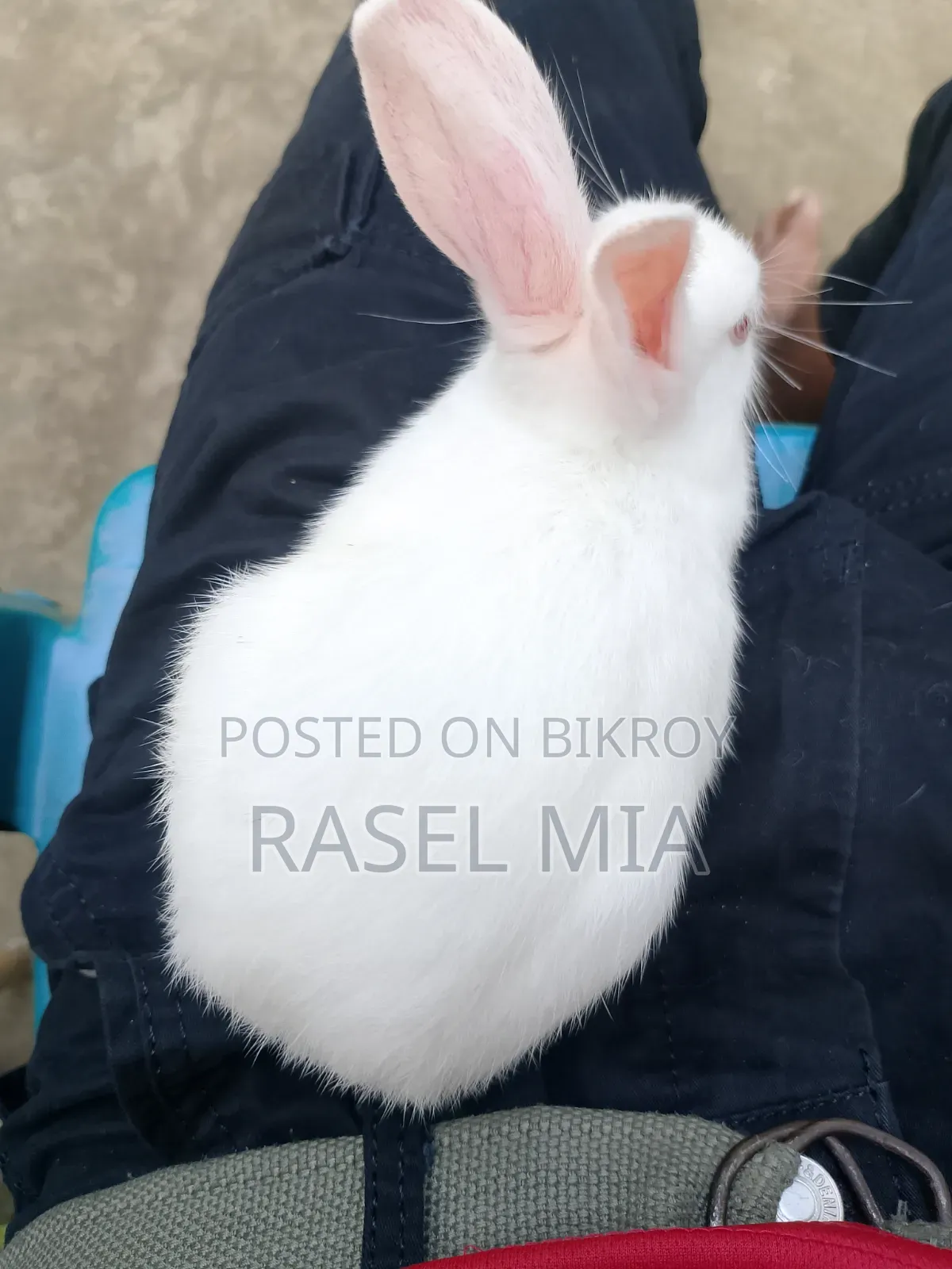 আমার টাকা দরকার তাই বিক্রি করবো