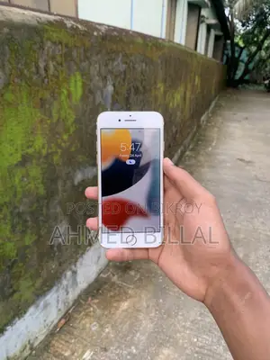 Apple iPhone 7 (Used)