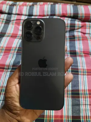 Apple iPhone 13 Pro Max (Used)
