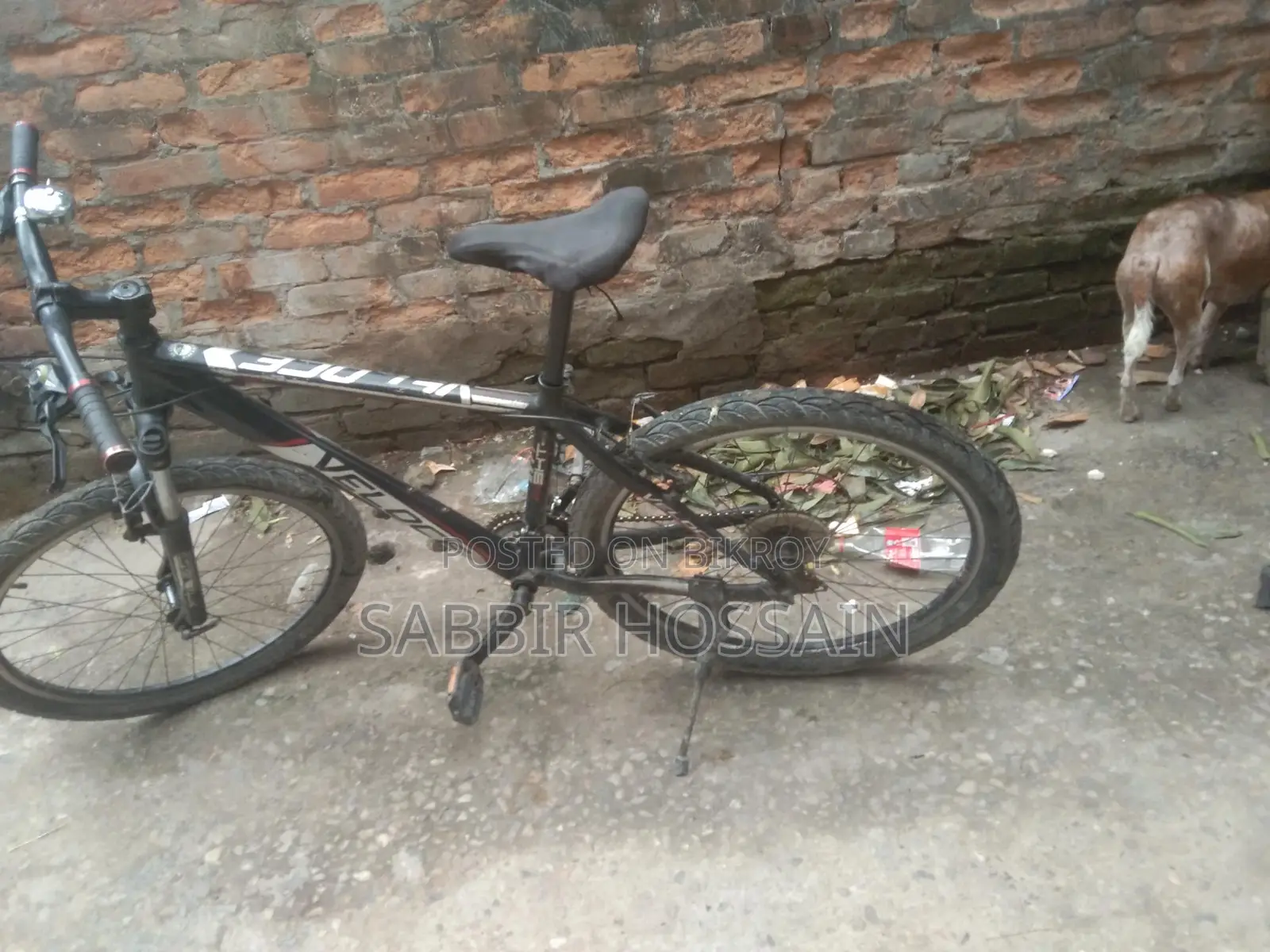 Bicycle for Sale