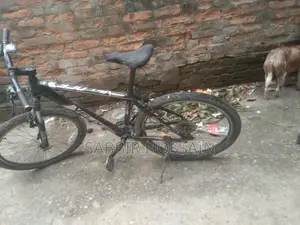 Bicycle for Sale