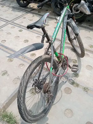 পুরাতন হলেও সাইকেলটি অনেক ভালো