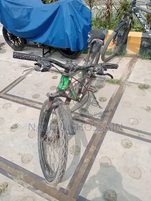 পুরাতন হলেও সাইকেলটি অনেক ভালো