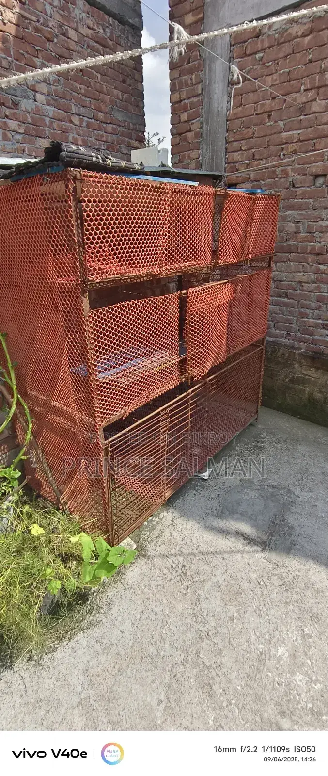 Cage for Ducks, Chickens, and Birds