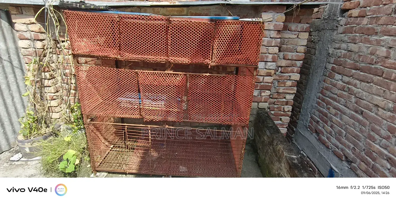 Cage for Ducks, Chickens, and Birds