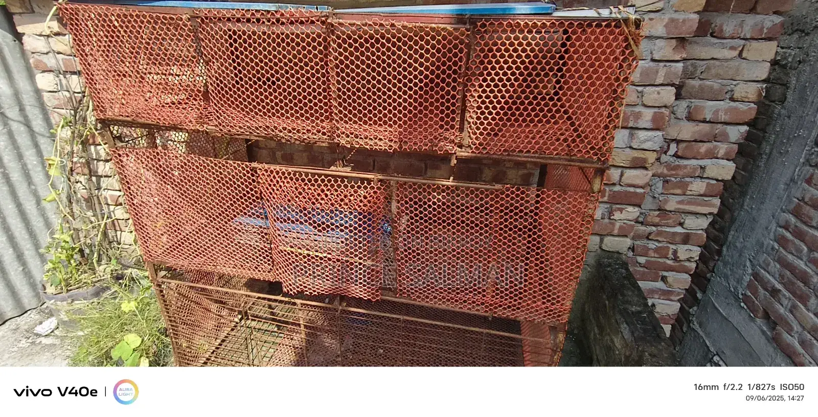 Cage for Ducks, Chickens, and Birds