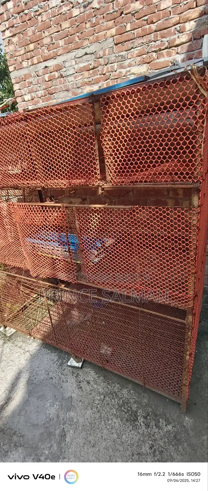 Cage for Ducks, Chickens, and Birds