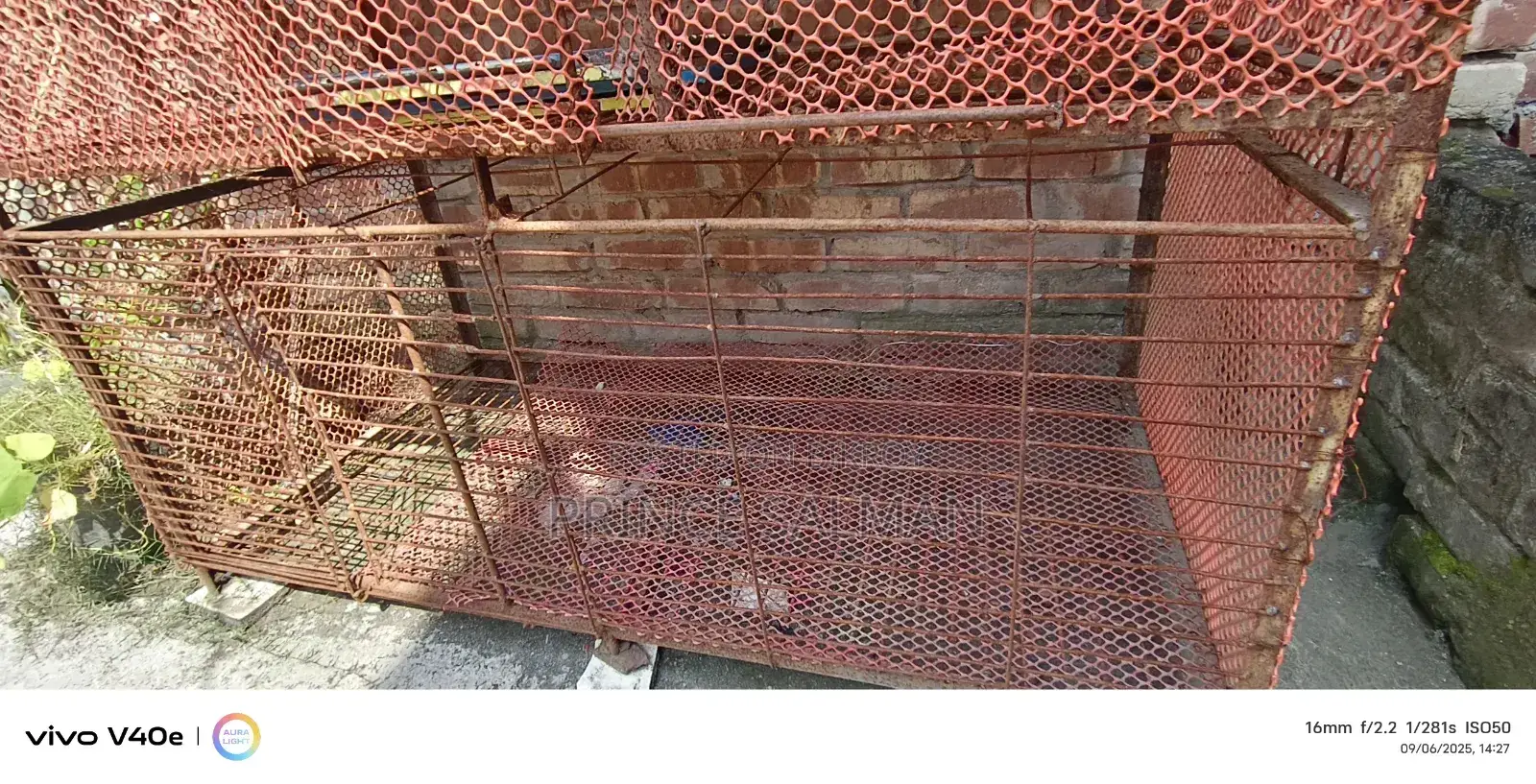 Cage for Ducks, Chickens, and Birds