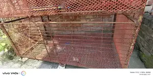 Cage for Ducks, Chickens, and Birds