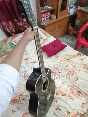 TGM guitar sale