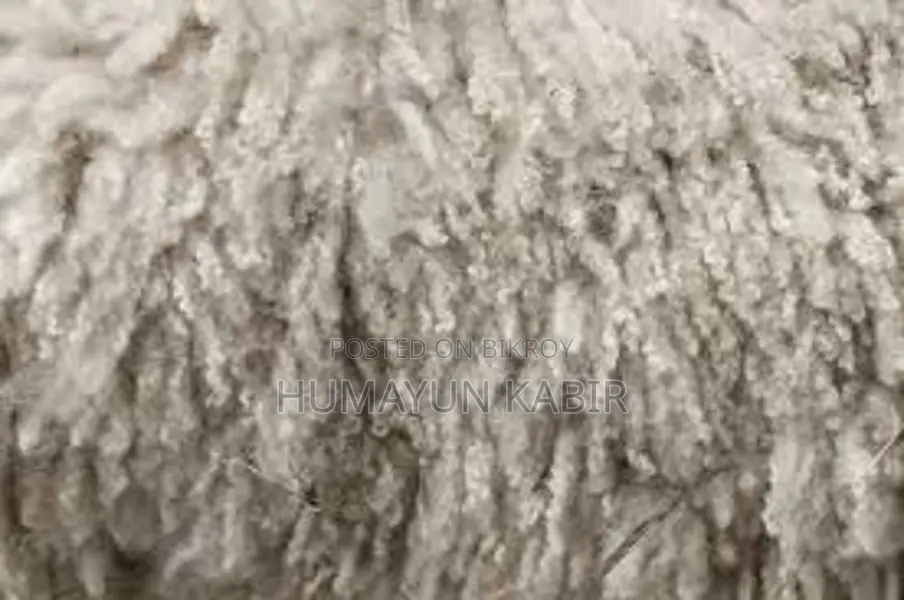 ভেড়ার লোম