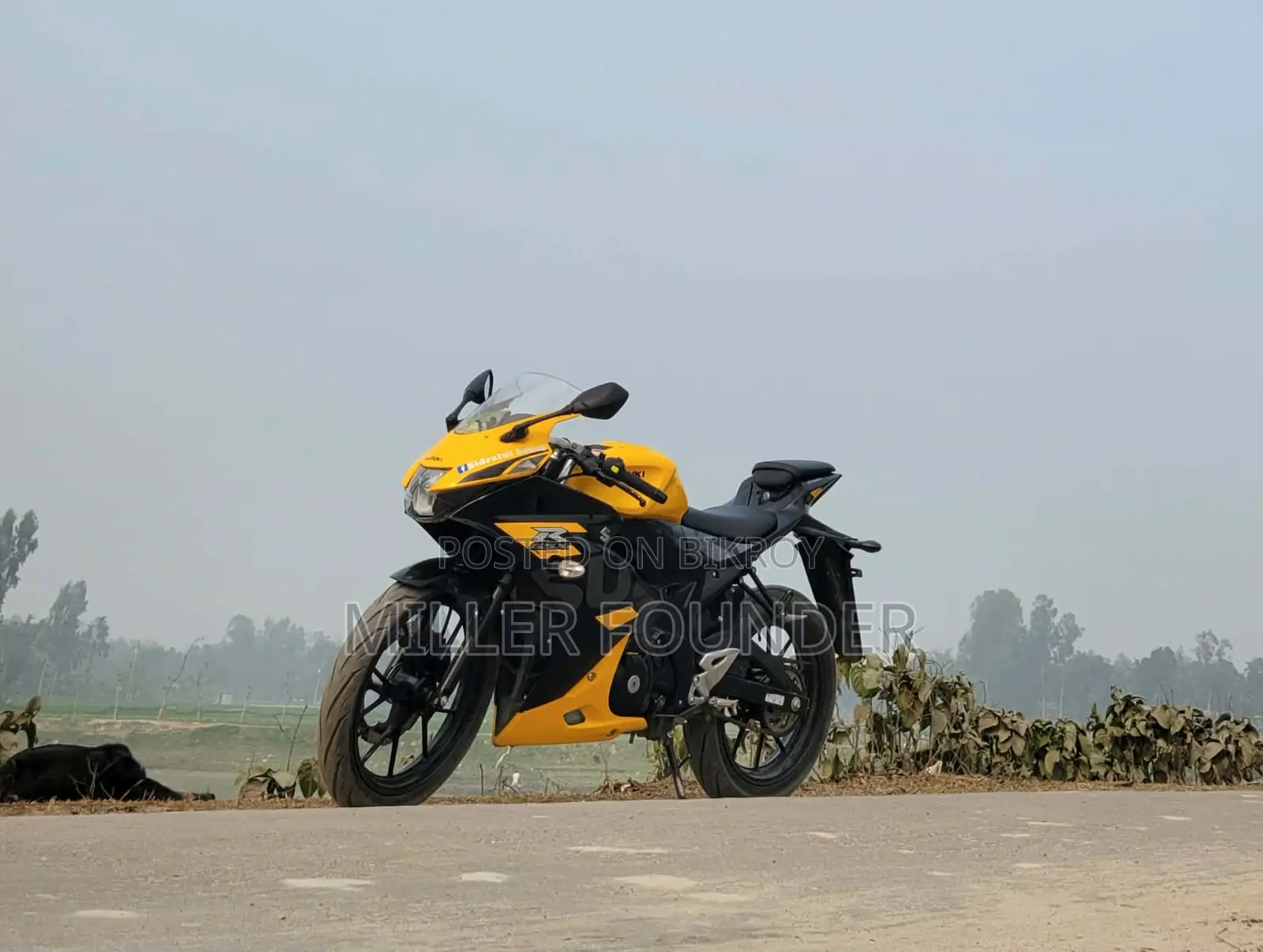 Suzuki GSX 2023