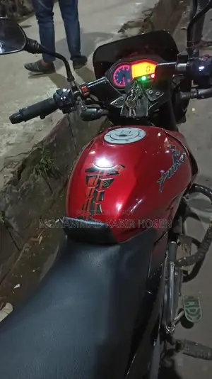 Bajaj Pulsar 2010