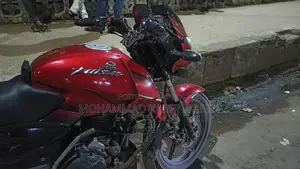 Bajaj Pulsar 2010